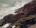 Winslow Homer, pintor realista de la costa de High Cliff de Maine